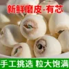 Товары от 聚宝城市