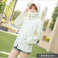 Шляпа крах грибов светло -желтые