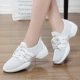 856 Белый [Одиночный фонд]