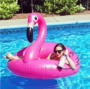 Vòng bơi fliringo flamingo để tăng dày nách phao cứu sinh bơm nước trôi nổi trôi giường - Cao su nổi phao tập bơi