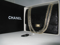 профессиональная цифровая SLR