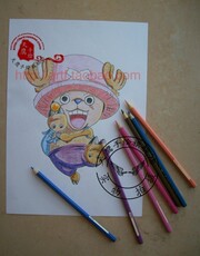 Контурный рисунок 天鹰手绘 动漫海贼王乔巴路飞彩色铅笔画 直销 定制各类动漫角色