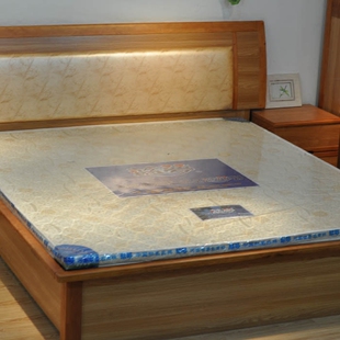 Authentic Blue Dream mattress (6cm soft brown mattress) Simmons high-end natural mountain palm health mattress, logistics included