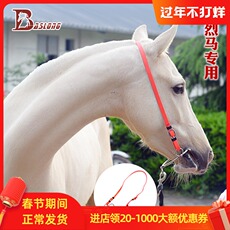 трензель 拉马口衔铁烈马口衔铁含拉马水勒马匹装备马嚼子马具