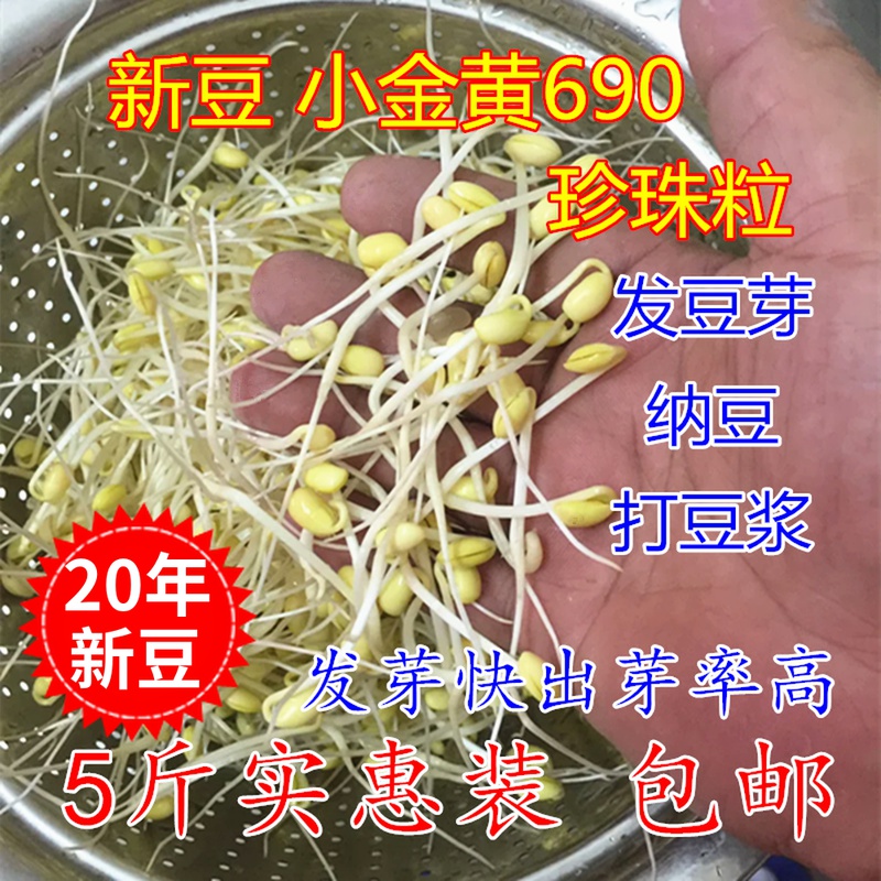 Купить Новый боб оскар Желтые 690 соевых волос ростки фасоли Делать ...