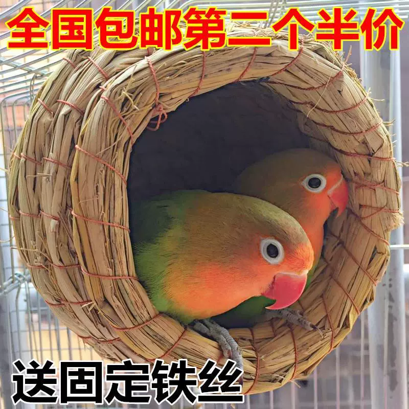 Rơm chim yến Wenwen hoa mẫu đơn budgerigar đồ chơi Xuanfeng cung cấp cỏ tổ yến hộp dụng cụ 1 - Chim & Chăm sóc chim Supplies