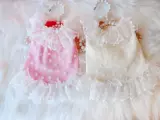Sweet Petco19006 Love Little Fairy Lames Юбка весна и осенняя одежда для домашних животных
