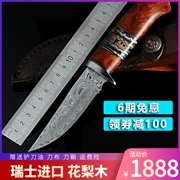 Thụy Sĩ bột thép Damascus dao Thụy Điển chính hãng công cụ thu thập độ cứng cao Bắc Âu dao săn với dao đã nghỉ hưu - Công cụ Knift / công cụ đa mục đích