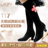 Туфли, эластичный лебедь, танцующие демисезонные сапоги, средней длины, мягкая подошва