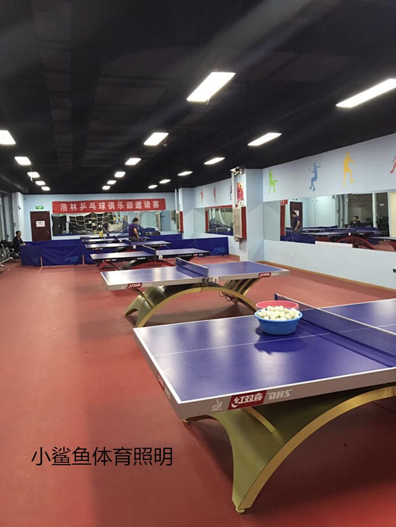 乒乓球台灯乒乓球室新款专用照明灯无影灯乒乓球馆灯