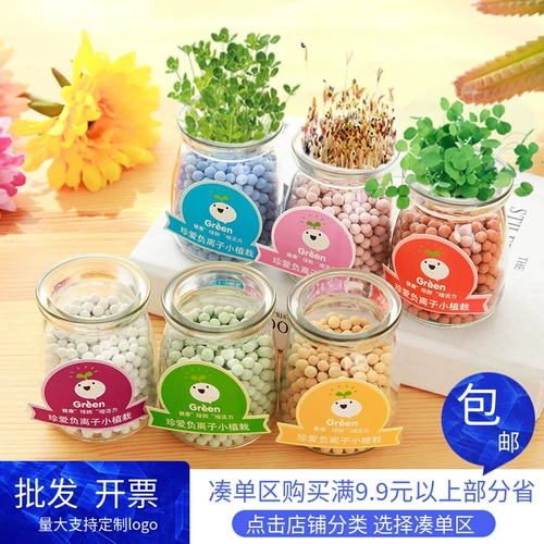 Гидропонный бассейн наблюдение с стеблями рост ствола легко прорастать микроалковые балконы.