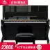 Caroline CAROD Carod Carod Piano S23 Dạy dọc nhà mới 88 Phím Chơi Thép - dương cầm đàn piano cơ dương cầm