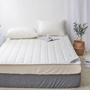 100% len nhập khẩu Úc Giường chống ẩm mattress Nệm kháng khuẩn Giường nệm len Úc dày - Nệm