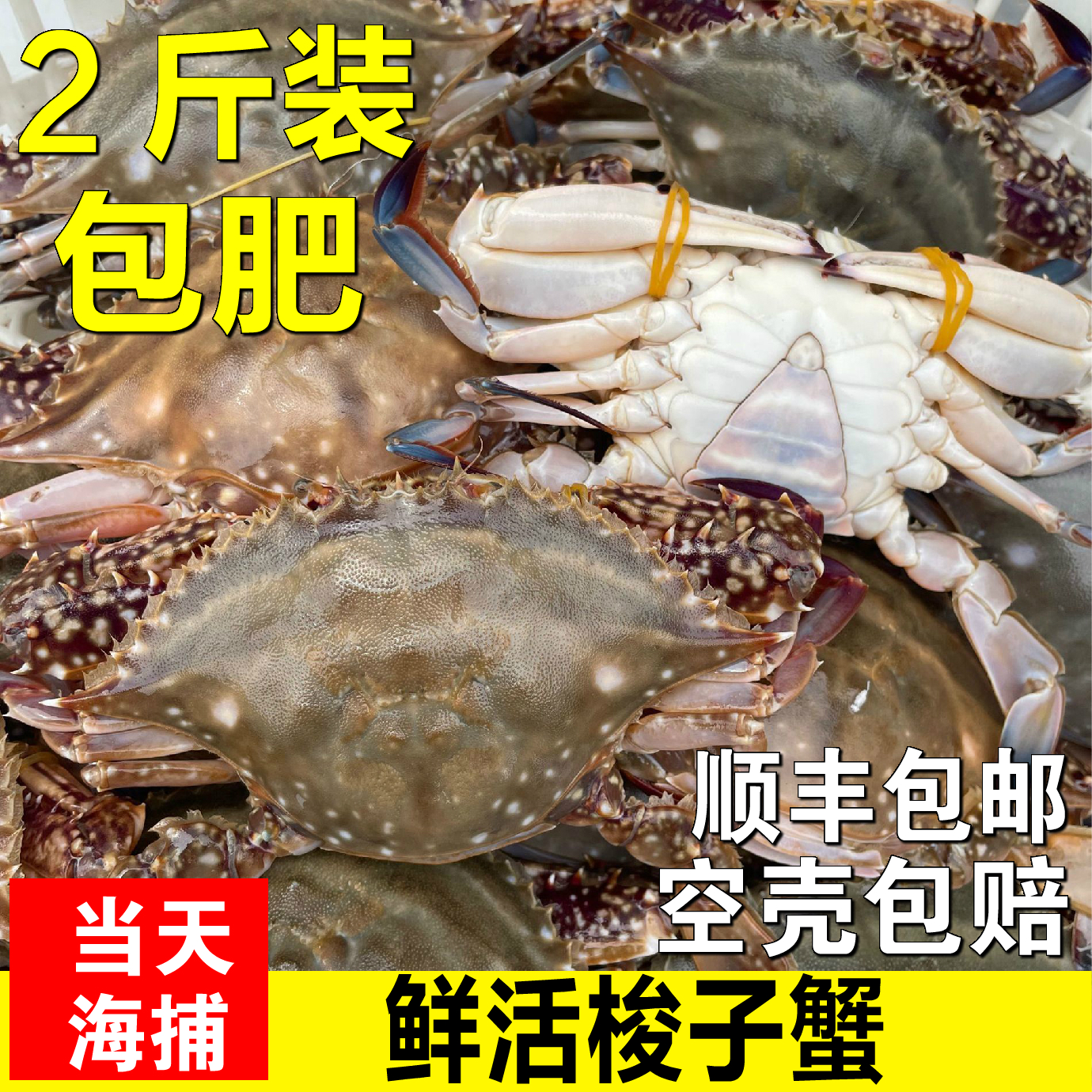 公蟹母蟹的区别（牢记3买3不买，螃蟹个个新鲜顶盖肥）_斜杠青年工作室