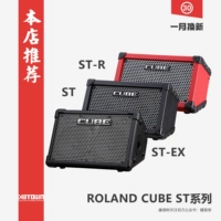 Loa Roland Roland Cube Street EX ST EX Buổi biểu diễn ngoài trời trên đường - Loa loa loa remax