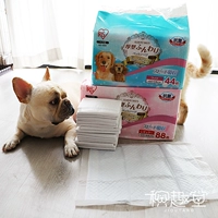 Японская радужная оболочка Alice Pet Pets Darum Diarine Cloused Antibacterial Devulled Dogs 44 88 штук