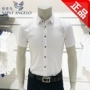 Baoxin Bird 2019 Mùa hè Trang phục nam mới Áo sơ mi công sở Công sở miễn phí Áo trắng ngắn tay ngắn - Áo sơ mi kaki nam
