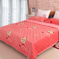 Flannel tấm chăn dày chống trượt ấm san hô thảm đơn đôi mùa đông cộng với chăn nhung ga giường 1m2x2m