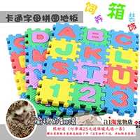 Африканская мини -мини -ежа мультфильм букволоволозерна