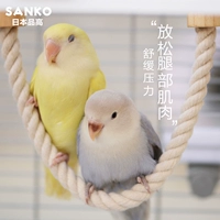 Япония Sanko High -школьная попугая тигр пион, пион и феникс Хлопковая веревка стой