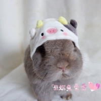 Милая шапка, кролик подходит для фотосессий, милые животные