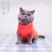 Молодой свитер молодого свитера, осенний и зимний свитер Акриловой кошачий свитер.