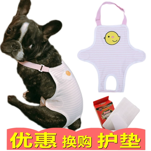 Короткие хвостами физиологические брюки брюки брюки Менструальные фальшивые домашние животные тетя контрацептивность