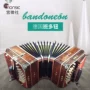 Nút Bando Đức Accordion Vintage Bandoni Ireland Tango Bộ sưu tập hiếm cổ Châu Âu Nhạc cụ cổ - Nhạc cụ phương Tây đàn guitar yamaha