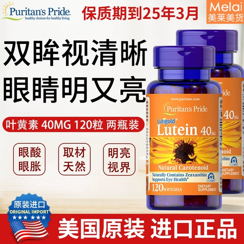 Связанная зона отправила Соединенные Штаты Пуритан Прайд Горда