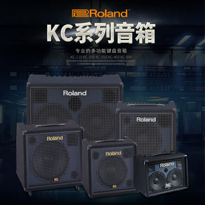 Roland Roland KC110 220 600 400 600 990 Гитарная клавишная синтезатор надзора над надзором