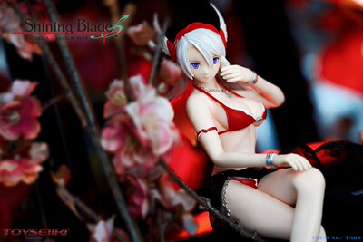 taobao agent Pre -sale TOYSEIKI TS06 1/6 Blade Lorin Bag Glip can move female soldier puppets