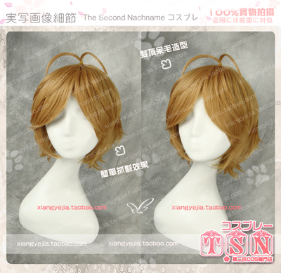 taobao agent ☆☆ TSN Second Family Perverted Prince and Non -Smile Cat Heng Temple, Yang Ren Youth COS COS Wig 537