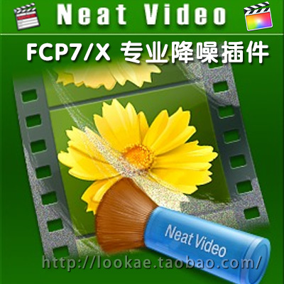 FCP7/FCPX专业视频降噪插件 Neat Video支持FCPX 10.4 + 使用教程-天天素材网