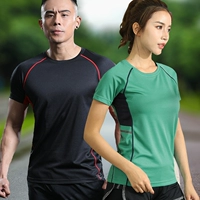 Mùa hè thể thao ngoài trời của nam giới quần áo khô nhanh ngắn tay t-shirt tập thể dục chạy mồ hôi thấm thở đi bộ đường dài leo núi quần áo phụ nữ áo khoác lông adidas