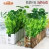 Товары от 礼赫家饰品牌店