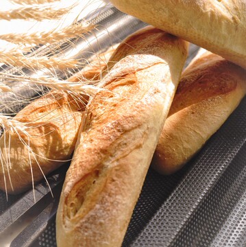 全麦法棍 (温柔版)无糖无油 切片装300克