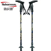 Robinson chính hãng trekking đi bộ dính carbon siêu nhẹ mía hai phần của gậy chống trượt an toàn - Gậy / gậy