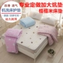 Tùy chỉnh giường phụ nệm nhíp tatami nệm giường pad mỏng không trượt 1.8m2.2 * 2.4 nệm đệm lò xo giá rẻ