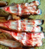 Синь Дади Джилин Квалил Штану потирает бедро свежий олень