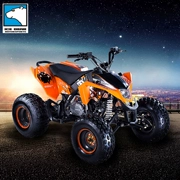Chính hãng Lingying 125CC bốn bánh off-road ATV chuyên nghiệp nhập cảnh cấp thể thao nhỏ ATV tất cả các địa hình xe