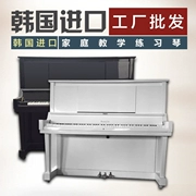 Hàn Quốc nhập khẩu đàn piano cũ Shizheng saujin131 đàn piano về nhà dạy đàn piano đen trắng - dương cầm
