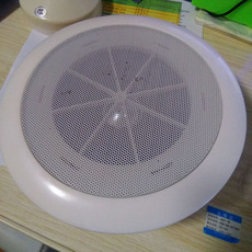 Потолочный динамик Кай Хун аудио вещания