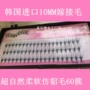 Hàn Quốc nhập khẩu cụm đơn phân đoạn ghép lông giả lông mi giả trang điểm nude tự nhiên mềm mại ghép tóc 10 mm - Lông mi giả mi giả dưới