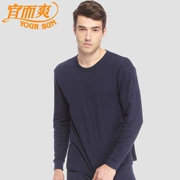 Yishuang cotton đích thực của nam giới mùa thu ấm áp quần áo cotton áo bông áo len đáy đồ lót