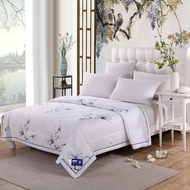 Tân Cương bông đầy mùa hè mát mẻ bông điều hòa không khí là bông twill mật độ cao lõi tăng bông đôi quilt