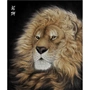Su thêu DIY kit động vật thêu sư tử gửi hướng dẫn không thêu chữ thập tự học thêu tay tranh thêu hoa mẫu đơn