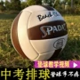 Chính hãng Speden số 5 học sinh của trẻ em trong kỳ thi đặc biệt cứng và mềm bóng chuyền nam và nữ sinh viên trong các bóng chuyền đặc biệt thử nghiệm đặc biệt 	lưới bóng chuyền da	