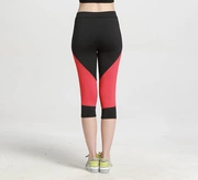 Khâu màu sắc phù hợp với mô hình nữ nhanh chóng làm khô tight-fitting stretch thể thao yoga chạy quần thể thao quần CD5-H707