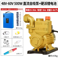 48V-60V-500W DC Self-Supence Pump,