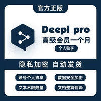 Deepl Pro Professional Version of Translation Exclusive Account Plug -In PDF -документ от имени API литературы японской и английской литературы